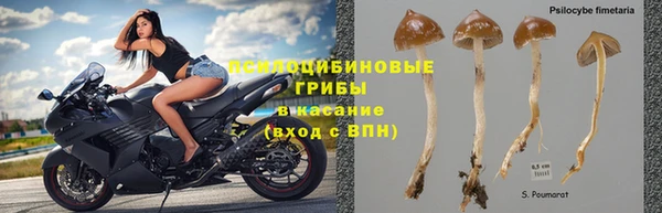 ешки Волосово